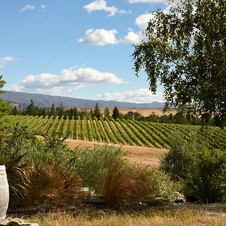 Bed and Breakfast Grey Ridge Vineyard Experience Александра Екстер'єр фото