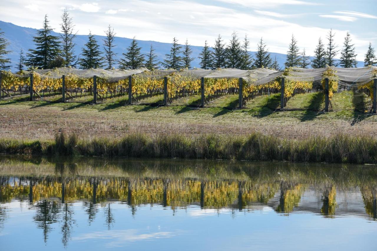 Bed and Breakfast Grey Ridge Vineyard Experience Александра Екстер'єр фото